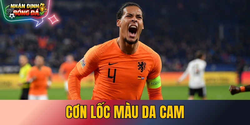 Cơn Lốc Màu Da Cam Là Đội Nào? Hà Lan Tại World Cup 2026