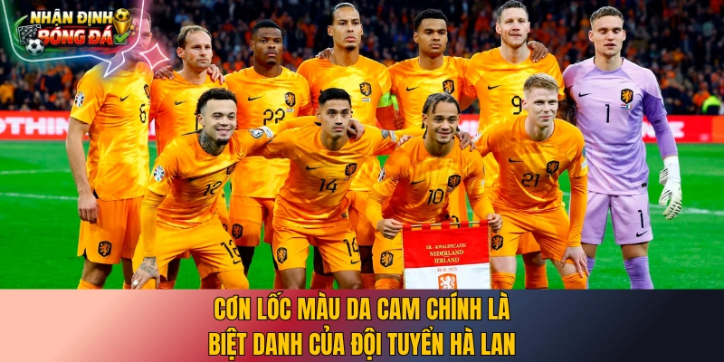 Cơn lốc màu da cam chính là biệt danh của đội tuyển Hà Lan