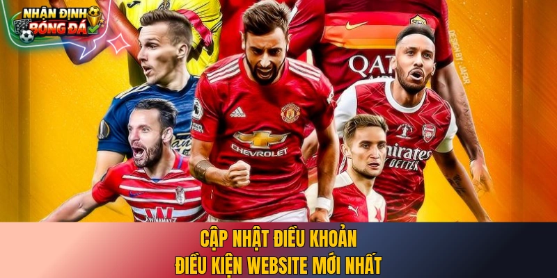 Cập nhật điều khoản điều kiện website mới nhất