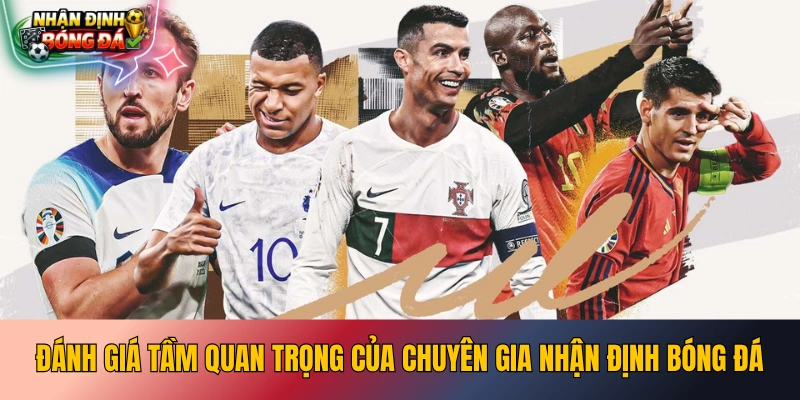 Đánh giá tầm quan trọng của chuyên gia nhận định bóng đá