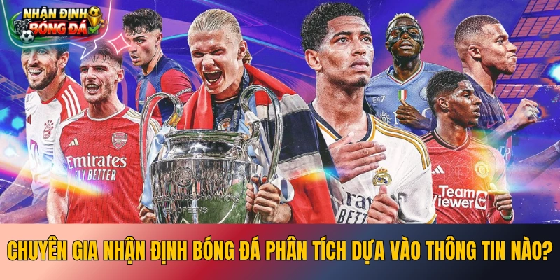 Chuyên gia nhận định bóng đá phân tích dựa vào thông tin nào?